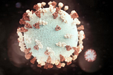 5 Preventions to Combat the Spread of Contagious Diseases: A Must Follow-up