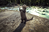 Adorable little animals in ARK: Survival Evolved-Otter