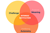 Why Intrinsic Motivation is Key for Retaining Top Talent