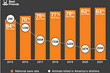 The Ugly Truth About Kill Shelters in America