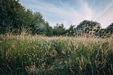 Time Spent in Nature Reduces Stress, Anxiety and Depression