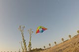 Go Fly A Kite