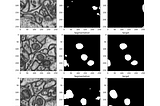 Assessing Autoencoder Outputs with Wavelets