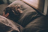 Sleeping on Problems: The Brain’s Role in Framing and Achieving Success