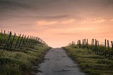 Image of a old paved road flanked on either side with grass and a barbed-wire fence.