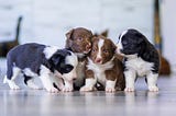 SQL Concepts that Beginners Have Trouble With
