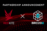 Red Kite Joins Force with BRC20X: New $200,000 $BRCX IDO is Coming Close