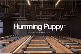 Reflections on Design Patterns & Flow: Humming Puppy Yoga