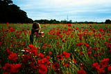 A woman takes a nature walk through a poppy field