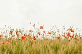 Simplify Your Kafka Cluster Setup with KRaft Mode: No Zookeeper Required