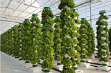 Is this the future of farming…