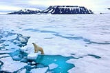 Polar Ice Caps and their Exctinction