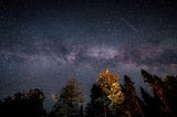 Create the Network for the Future You Want Now