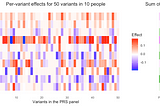 What is a polygenic risk score?