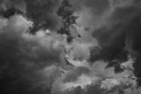 Overriding the Voice of Fear