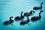 Of Black Swans and Contingency Plans