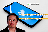 What did Elon Musk do with Twitter?