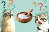 Can Cats Eat Salt? Understanding the Risks and Considerations