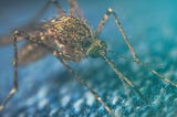 Funding Late Stage Clinical Development of a Novel Antimalarial