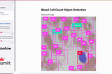How to Use Roboflow and Streamlit to Visualize Object Detection Output