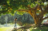 Woman in nature, next to a giant tree with its roots exposed