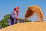 Wheat Procurement India 2021: Complete analysis