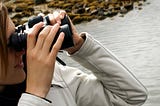 Get Closer to Nature: Discover the Perfect Binoculars for Whale Watching
