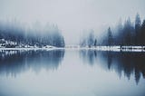 The Gentle Art of Wintering