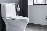 Smart-Toilet-1