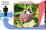 Interactive Segmentation