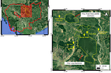 Illegal logging. A Threat to Indigenous Communities