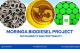 Sustainable Energy Solution: Moringa Biodiesel Leads the Way