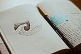 Things I’ve Learned from Re-reading My Old Journals