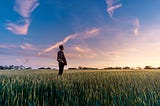 A man in the middle of a field looking at the bright and beautiful sky