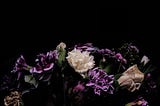 White and Purple Carnations