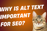 How Does Alt Text Impact SEO?