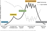 A graph with energy and sustainability on the y axis and five stages listed on the x axis. The first stage is potential which see’s a rise in energy peaking at the second stage of forming. Here it drops before rising through maturity and peaking at self sustaining. The final stage is transformation and marks the closing of the community. There is a second line marking the input needed for the community, it starts high in stage 1 and then drops at each of the next stages before rising at the end.