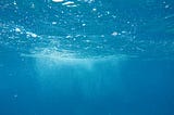 A Lyrical Ecofeminist Tale: Book Review of Sonali Prasad’s “Glass Bottom”