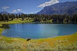 All Day Hikes in Yellowstone