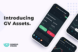 Introducing GV Assets.