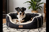 Black-And-White-Dog-Bed-1