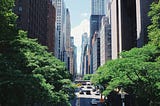 Exploring New York on a Student Budget