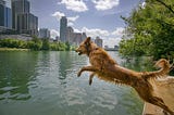 Help Make Lady Bird Lake Safe Again!