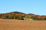 A cornfield, red barn and fall colors.