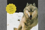 Download pdf The Wolves of Yellowstone by unknown