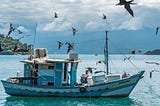 sea gulls circling a blue boat