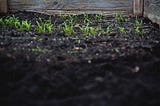 SOIL PROFILE — AGRICULTURE OPTIONAL