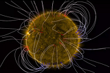The Sun’s Magnetic Field Flips?!