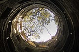 View up to the trees and sky seen from the bottom of a well