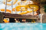Several yellow slides loop and converge in a pool at a waterpark